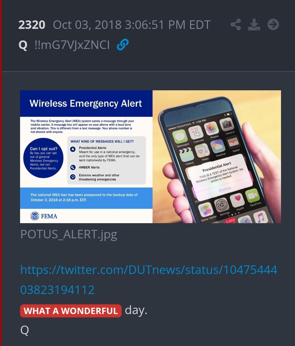 TraderGirlQ tweet media