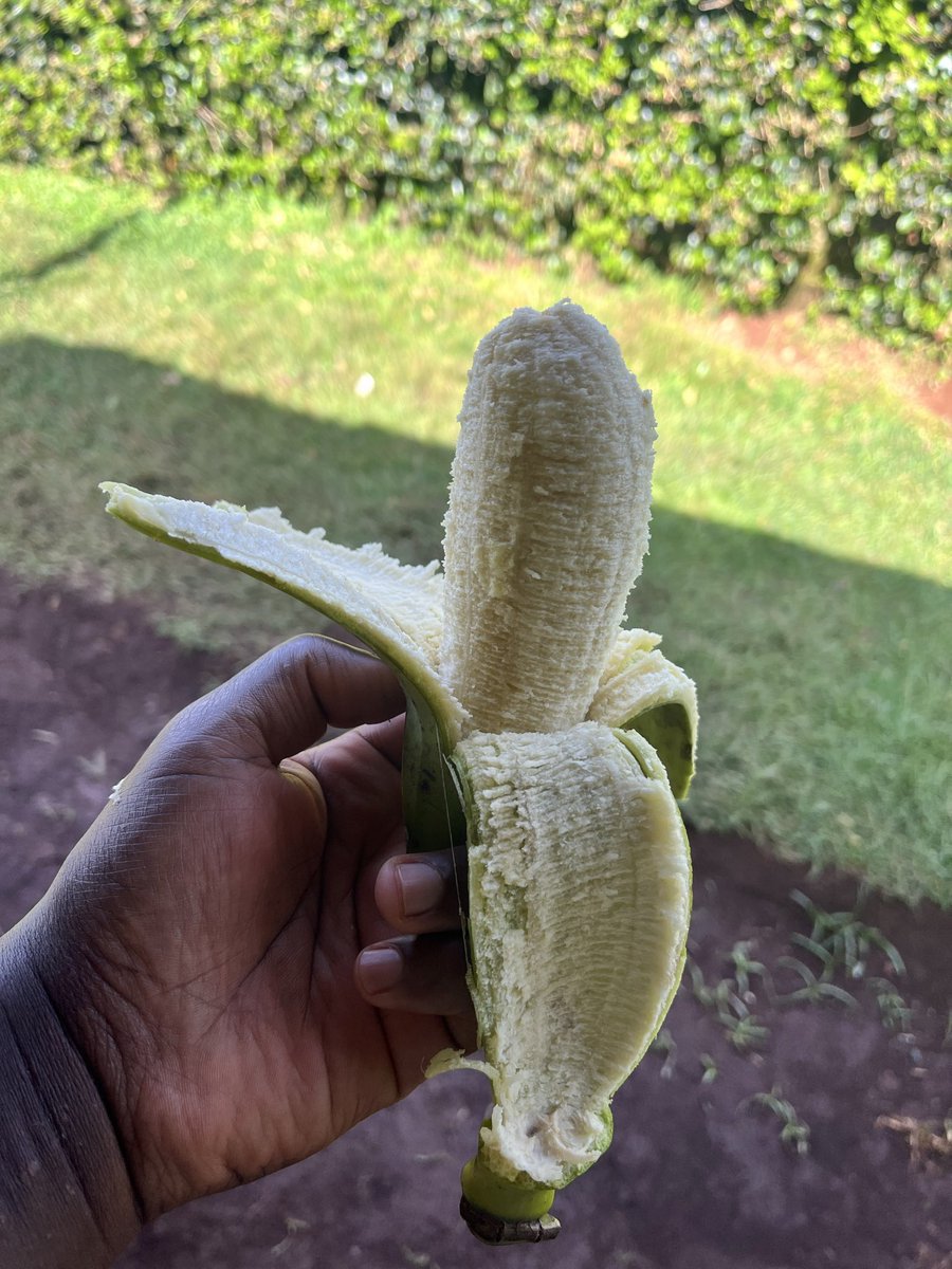 Evans Ogeto🇰🇪 tweet media