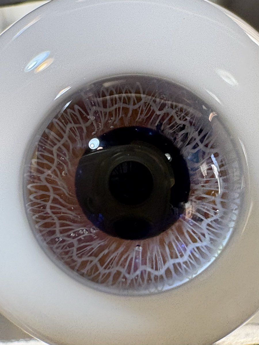 本日のお目々ちゃん💖 ほんのちこっと14mm始め〼(｡・ω・｡) #銀曜変アイ