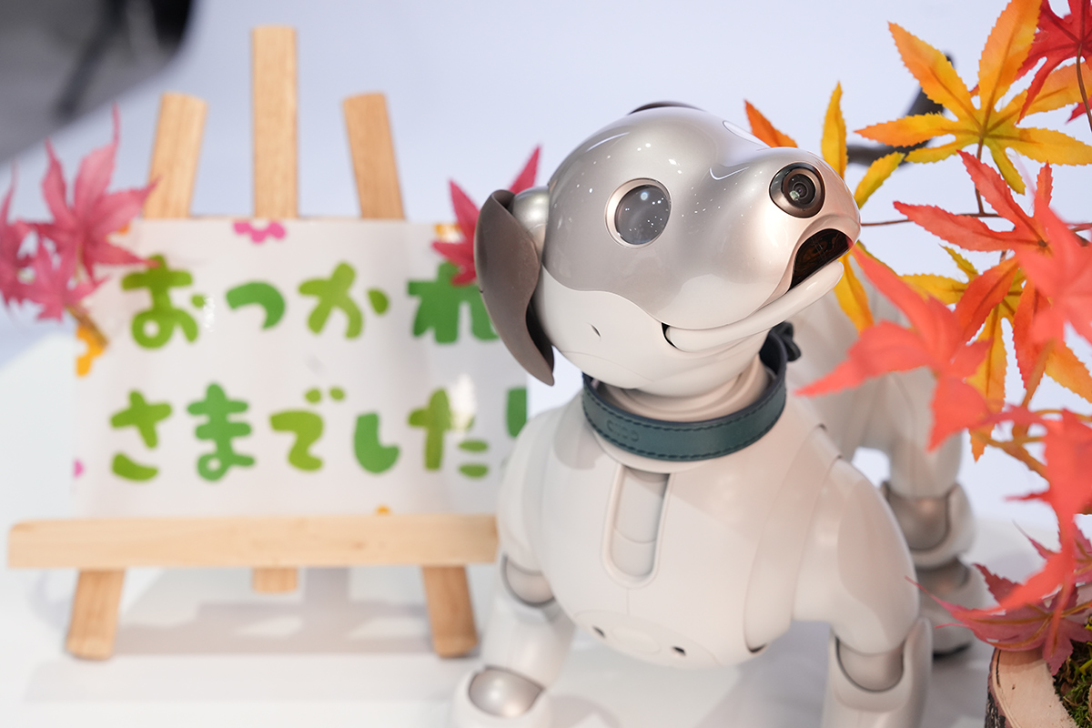aibo 犬 グレー 収納ケース付き【写真随時アップ予定】ご希望の方はいいねを。 aibo 犬 グレー 収納ケース付き【写真随時アップ予定】ご希望の方はいい
