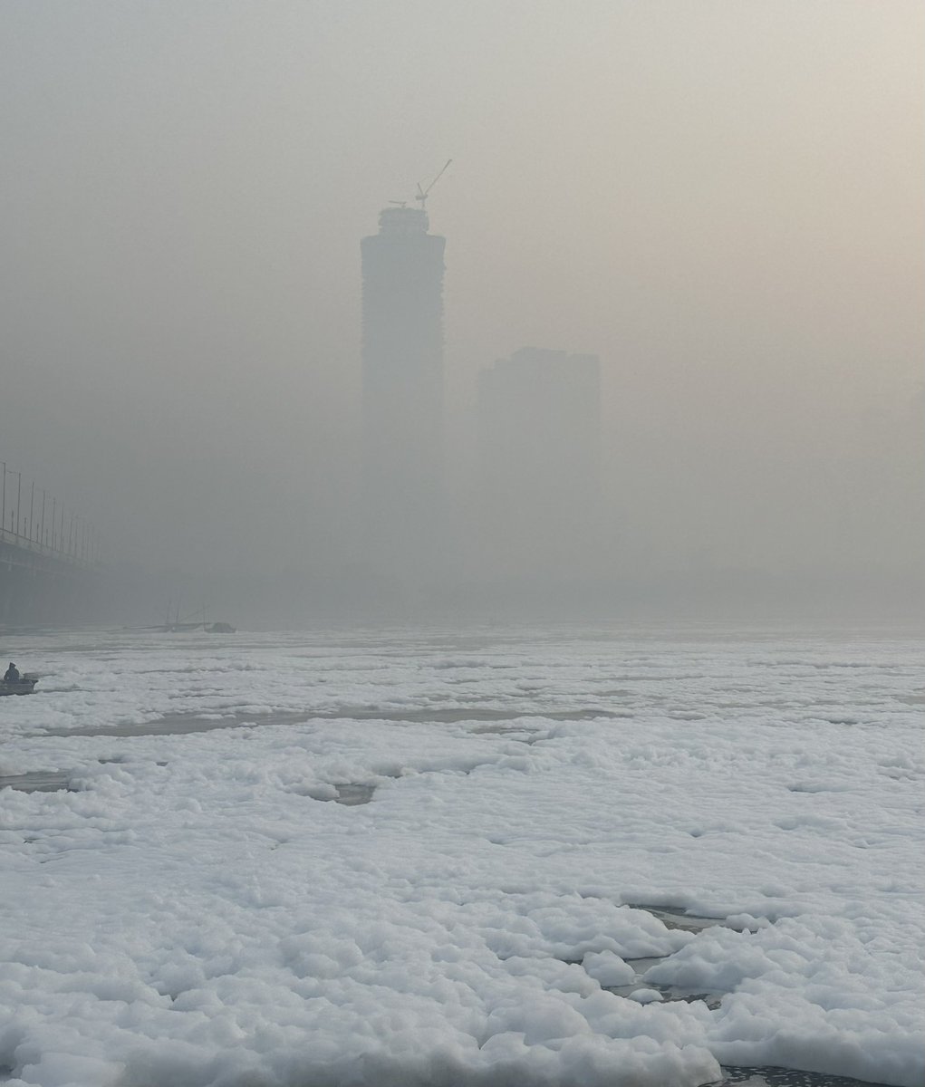 DaaruBaazMehta's tweet image. SHARE MAX - THANK YOU MODI JI

Under puppet @gupta_rekha 

Delhi is at its worst pollution levels. Both air pollution and Yamuna pollution at its peak

Shame on BJP for failing on every aspect in Delhi

Shot at Yamuna Ghat, Kalindi Kunj, Delhi at around 7 AM today)