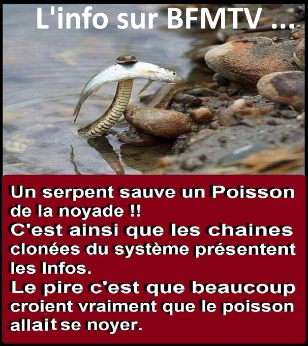 <a href="/WeberFrancois1/">Weber Francois</a>