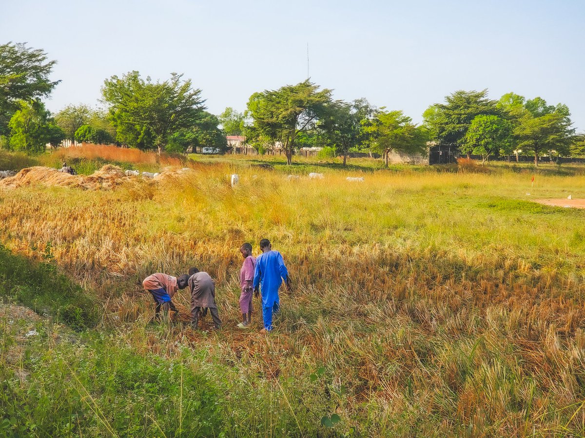 Gbamila_joe's tweet image. Day 9/30 
Of shooting with the Galaxy s10 until @SamsungMobile and @Snapdragon notices me.