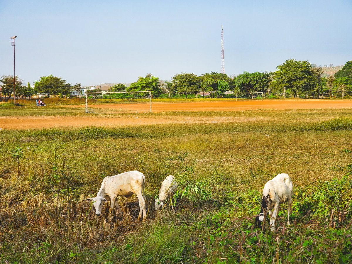 Gbamila_joe's tweet image. Day 9/30 
Of shooting with the Galaxy s10 until @SamsungMobile and @Snapdragon notices me.