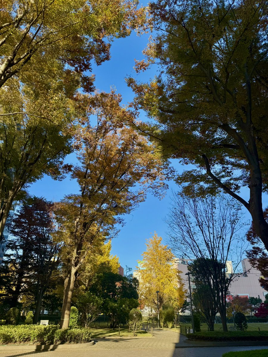 伊藤穰一 | 千葉工大学長 tweet media