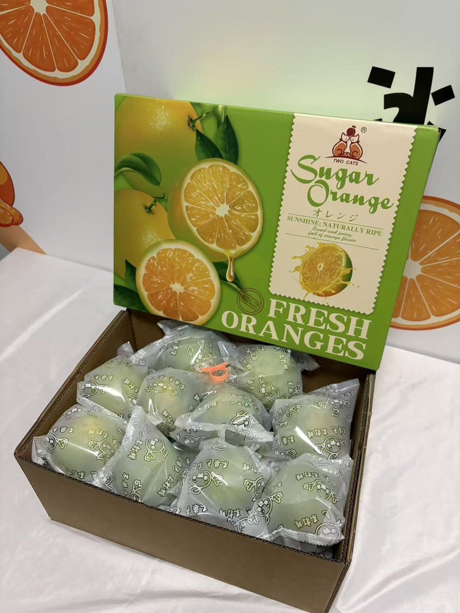Pinkky_chey's tweet photo. 🍊 ส้มเช้งน้ำผึ้ง 🍊

รสชาติ หวาน หอม อร่อยค่าา

🚩กล่อง  5.5 กิโล รวม. ราคา 790 บาท ส่งฟรี‼️

💌สนใจสั่งซื้อได้ที่ https://t.co/RlOh6eHWk1 หรือ @694gitds

Line:piglett_pink หรือ โทร 064-716-6651

🚚❄️กทม นนทบุรี ปทุมธานี สมุทรปราการ 
ส่งฟรีแช่เย็นรับสินค้าภายในวันที่ส่ง https://t.co/7A1y6jGhWo