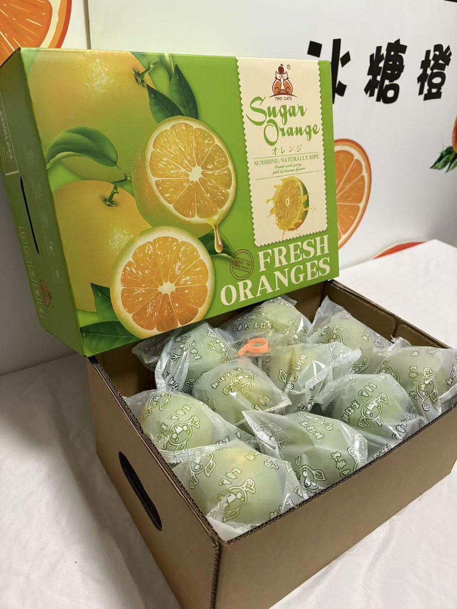 Pinkky_chey's tweet photo. 🍊 ส้มเช้งน้ำผึ้ง 🍊

รสชาติ หวาน หอม อร่อยค่าา

🚩กล่อง  5.5 กิโล รวม. ราคา 790 บาท ส่งฟรี‼️

💌สนใจสั่งซื้อได้ที่ https://t.co/RlOh6eHWk1 หรือ @694gitds

Line:piglett_pink หรือ โทร 064-716-6651

🚚❄️กทม นนทบุรี ปทุมธานี สมุทรปราการ 
ส่งฟรีแช่เย็นรับสินค้าภายในวันที่ส่ง https://t.co/7A1y6jGhWo