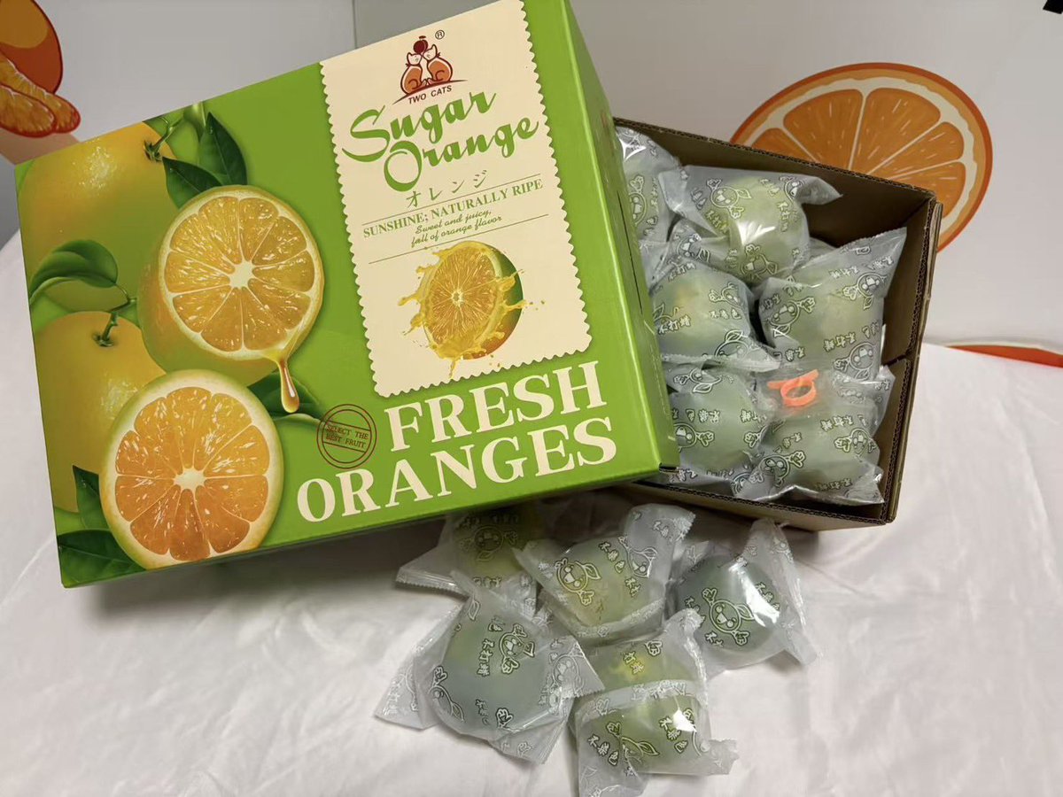 Pinkky_chey's tweet photo. 🍊 ส้มเช้งน้ำผึ้ง 🍊

รสชาติ หวาน หอม อร่อยค่าา

🚩กล่อง  5.5 กิโล รวม. ราคา 790 บาท ส่งฟรี‼️

💌สนใจสั่งซื้อได้ที่ https://t.co/RlOh6eHWk1 หรือ @694gitds

Line:piglett_pink หรือ โทร 064-716-6651

🚚❄️กทม นนทบุรี ปทุมธานี สมุทรปราการ 
ส่งฟรีแช่เย็นรับสินค้าภายในวันที่ส่ง https://t.co/7A1y6jGhWo