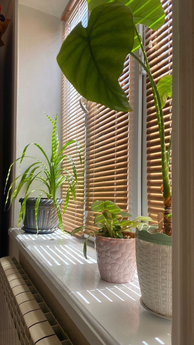 HmryLtyft's tweet image. صباح الرحابة والكثير من الخير والنور ✨❤️..