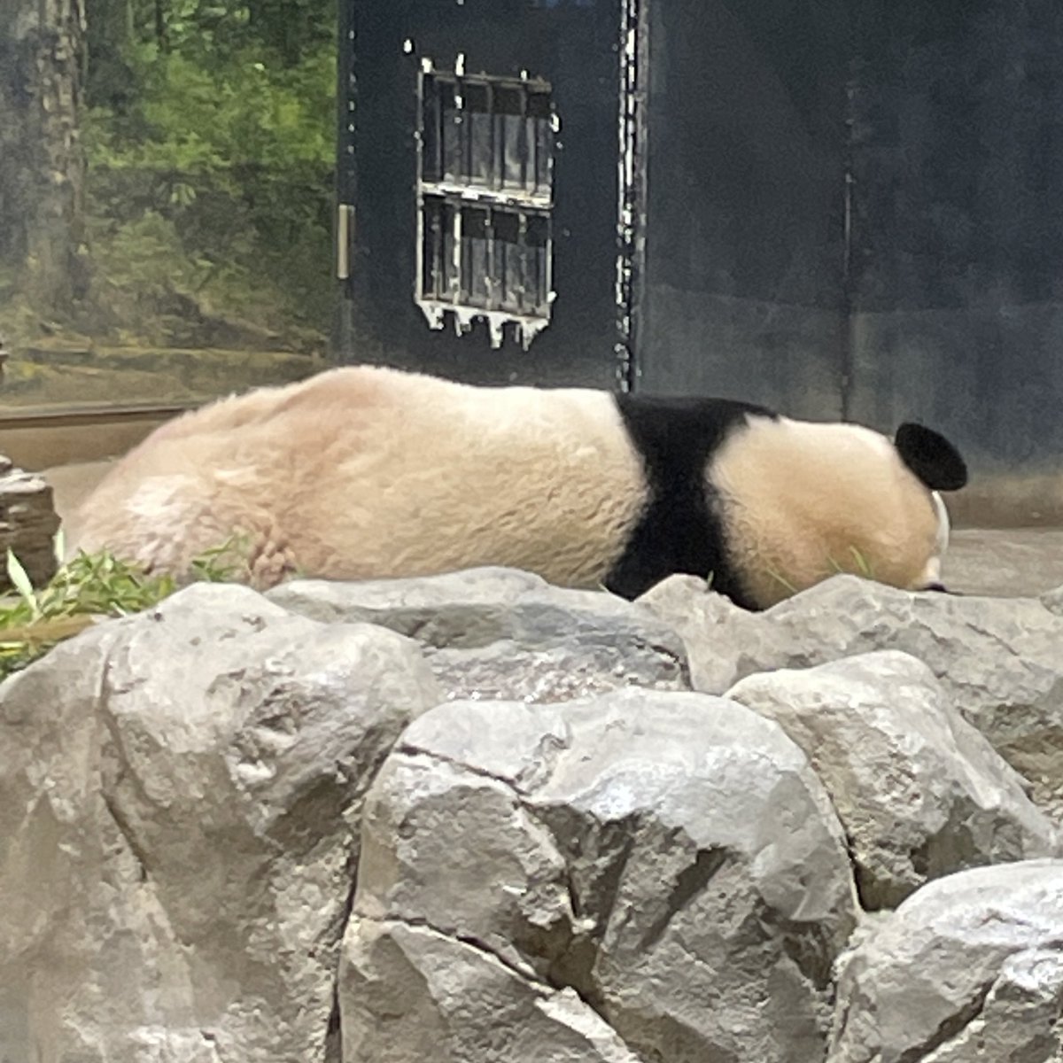 ⭐️ ちかりんたん2203です だーくん💕＠札幌 (@darkstalker09) / Posts / X