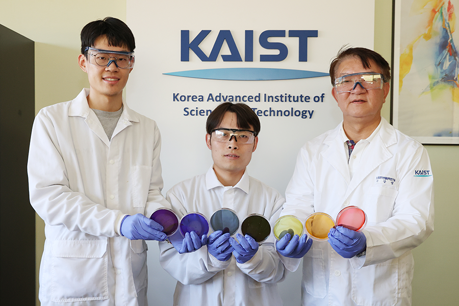 kaistpr's tweet image. KAIST develops the world’s first one-pot platform for making rainbow-colored bacterial cellulose using engineered microbes. 🌈
A sustainable alternative to chemical dyes for textiles and biofabrication.
#BioTech #SustainableTextiles #Biofabrication #Innovation#Prof.Sang Yup Lee