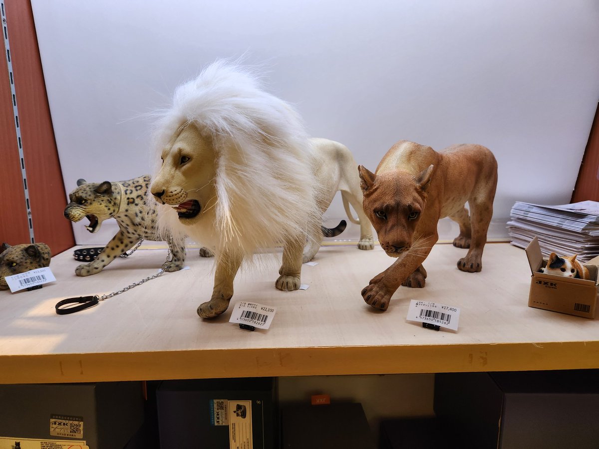 動物フィギュア フィギュアで小さくなっても、さすが百獣の王ですなぁ