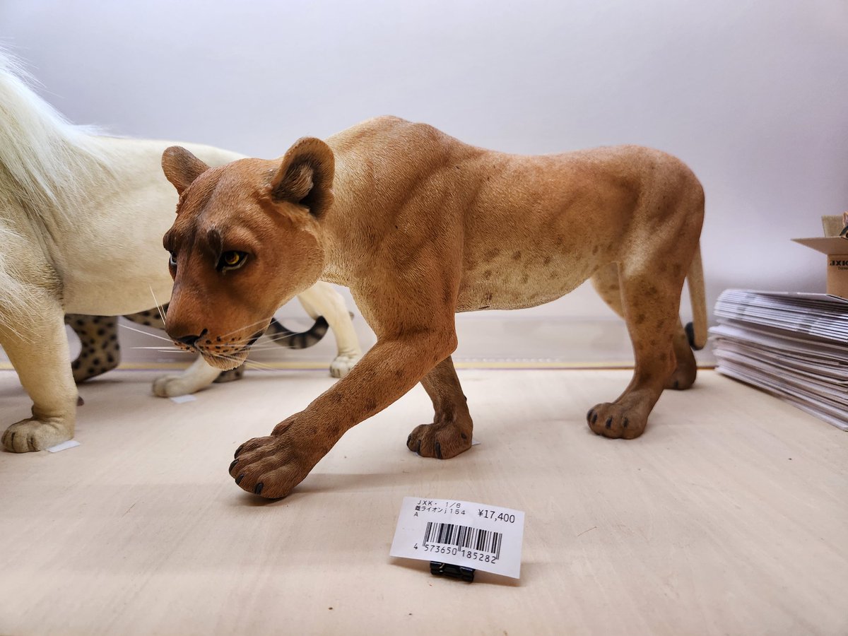 動物フィギュア フィギュアで小さくなっても、さすが百獣の王ですなぁ