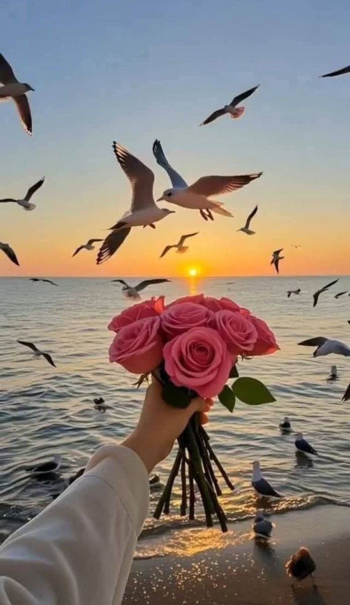 سارة أحمد tweet media