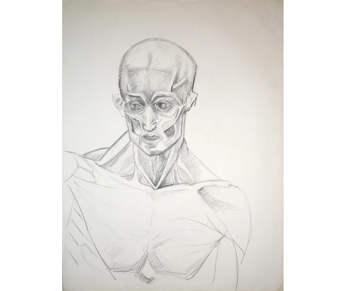 nhowaizi's tweet photo. Neda Howaizi. Etudes anatomiques, dessins, ca. 1983 https://t.co/la9TPd7cku https://t.co/OhTCajDY8B