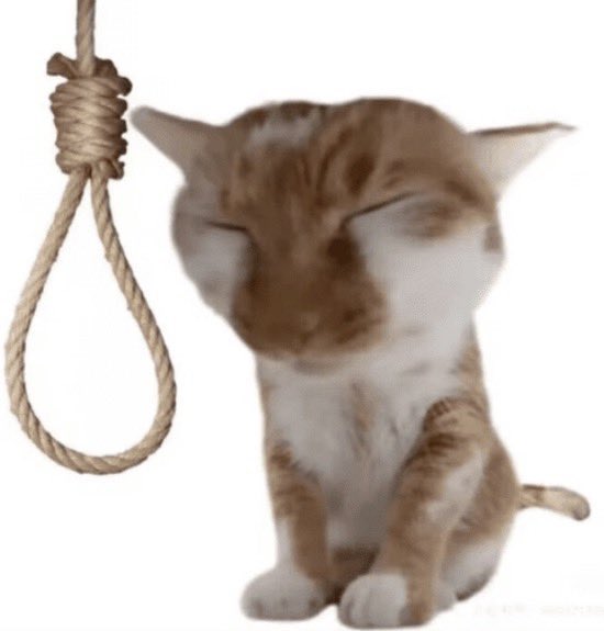 dina_michi's tweet image. quero a conchinha da minha mulher