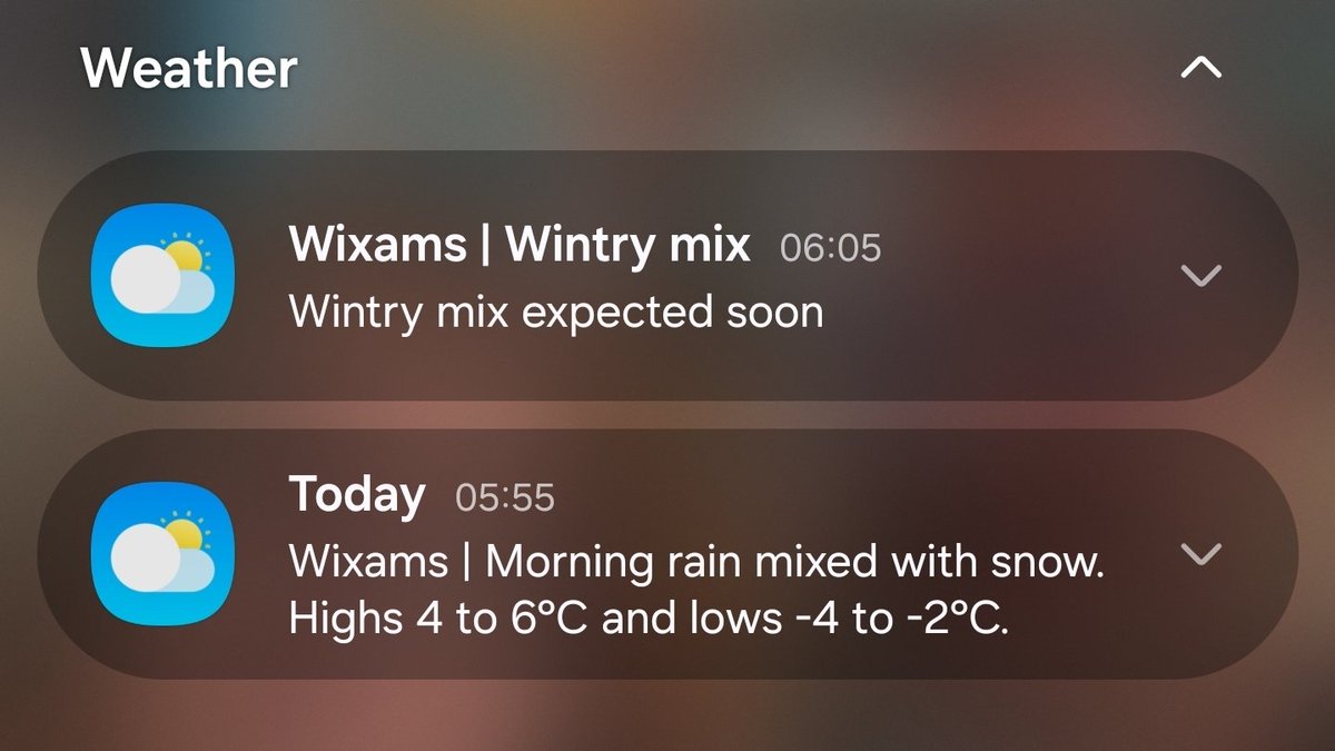 Jamie Nightingale tweet media