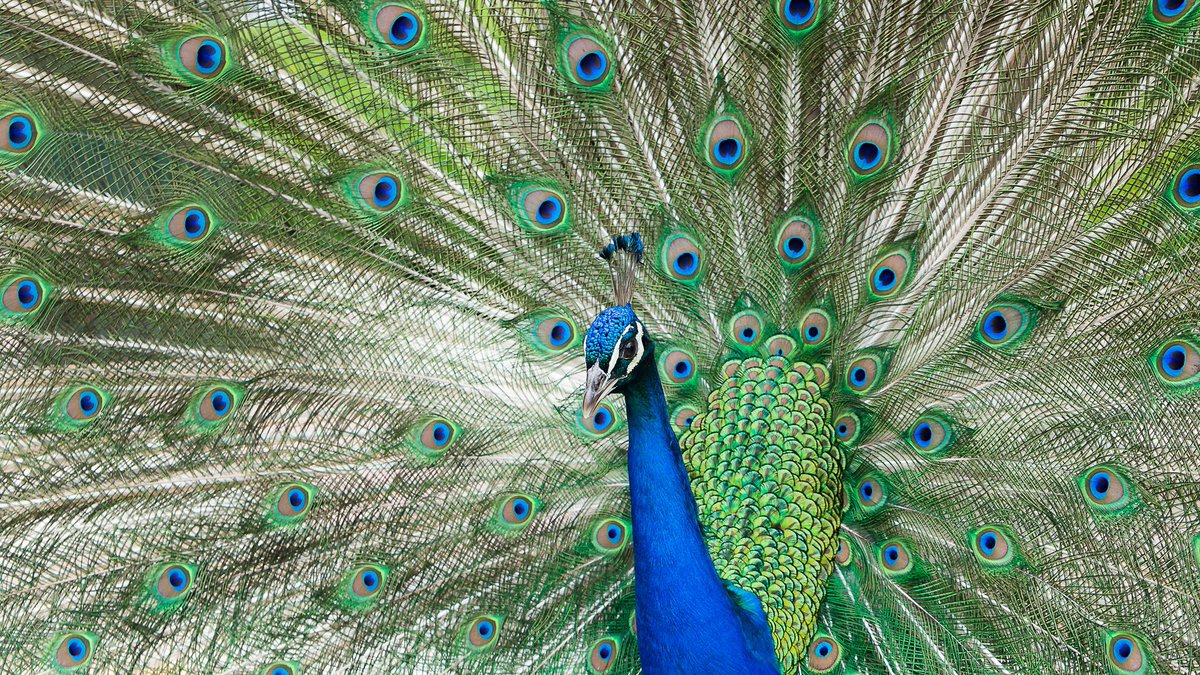 smSS zu Fundamente festigen scip.ch/?news.20251119