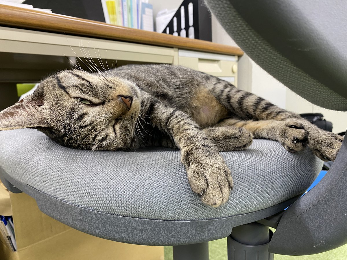 jaswe_jimu's tweet image. ﾃﾞﾛﾝ

12時です
#1日１ぶちょう