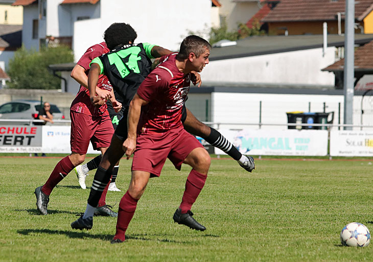 Euphorie-Welle im Vogelsberg ebbt im Herbst ab - osthessen-zeitung.de/einzelansicht/…