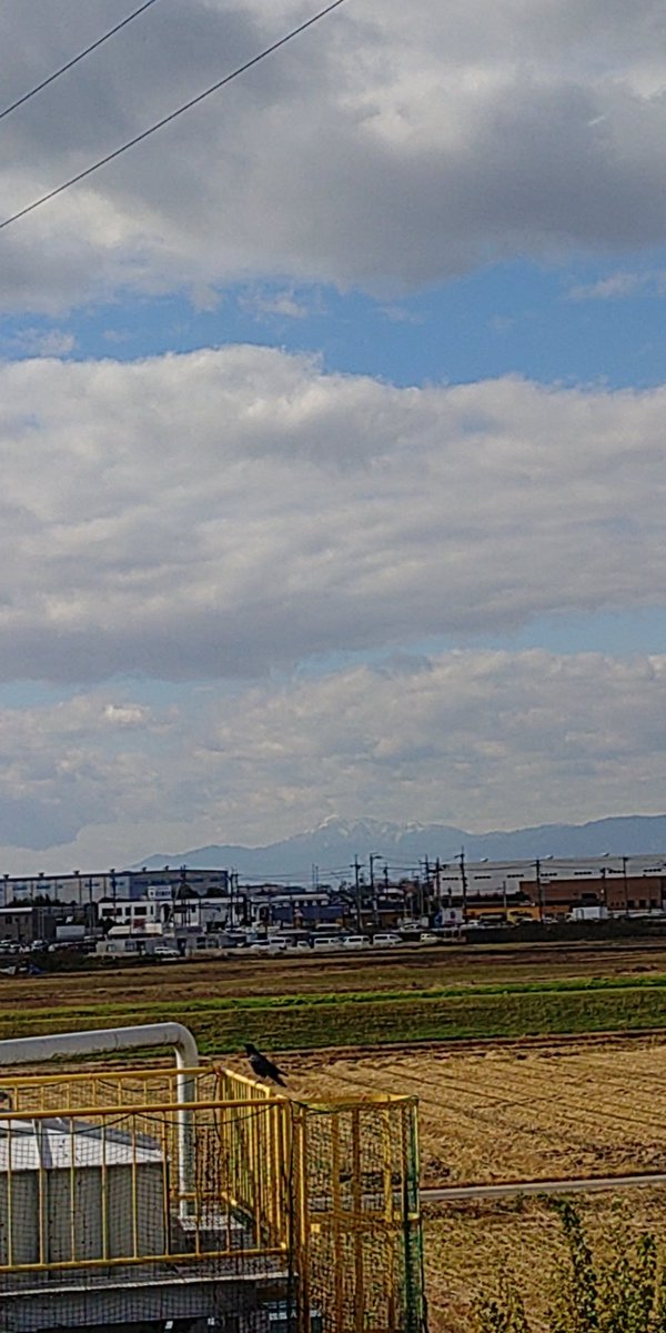 叶羽 アイトス] AZ-56382 防水セーフティシューズ（ミドルカット）