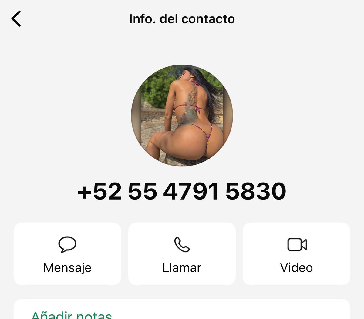 reporten este número  es falso , está usando mi identidad