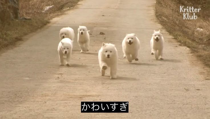 OdhuurumkII's tweet image. 