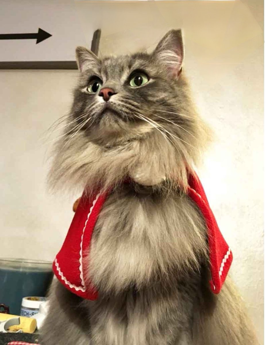 ♥️..........

Umana, ma che te ne
fai dei supereroi? Hai
già me!

.............♥️