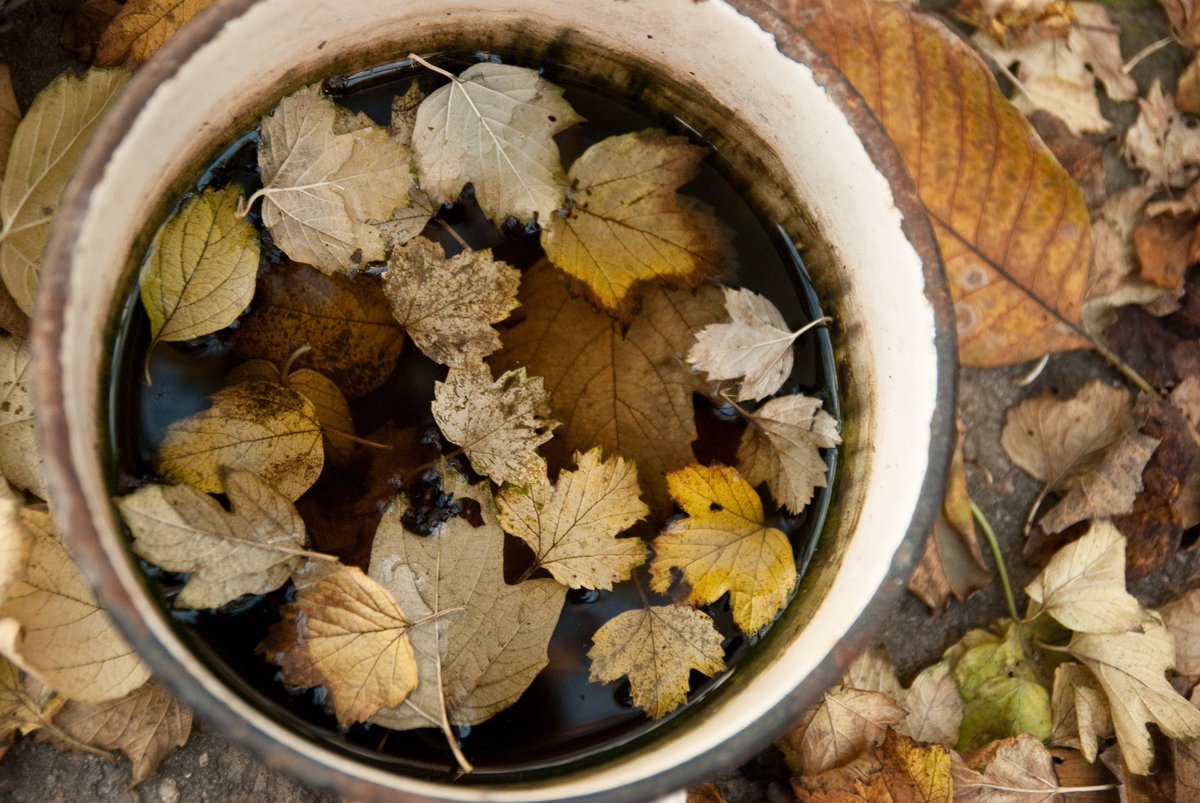 living_in_ua's tweet image. 