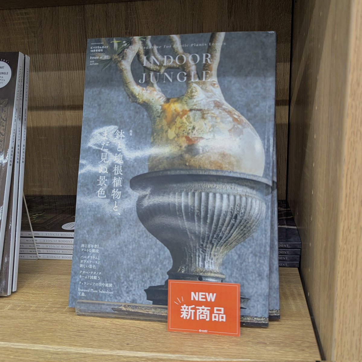 🌷📚️ #オザキフラワーパーク さんへ伺いました〜
🌿
最新刊『アガベ・チタノタ ネームド図鑑』はポストカード付きで販売中！
🪴
また、『#インドアジャングル』は最新号はもちろん、バッグナンバーも取り揃えいただいております！是非〜
#アガベチタノタネームド図鑑
#INDOORJUNGLE