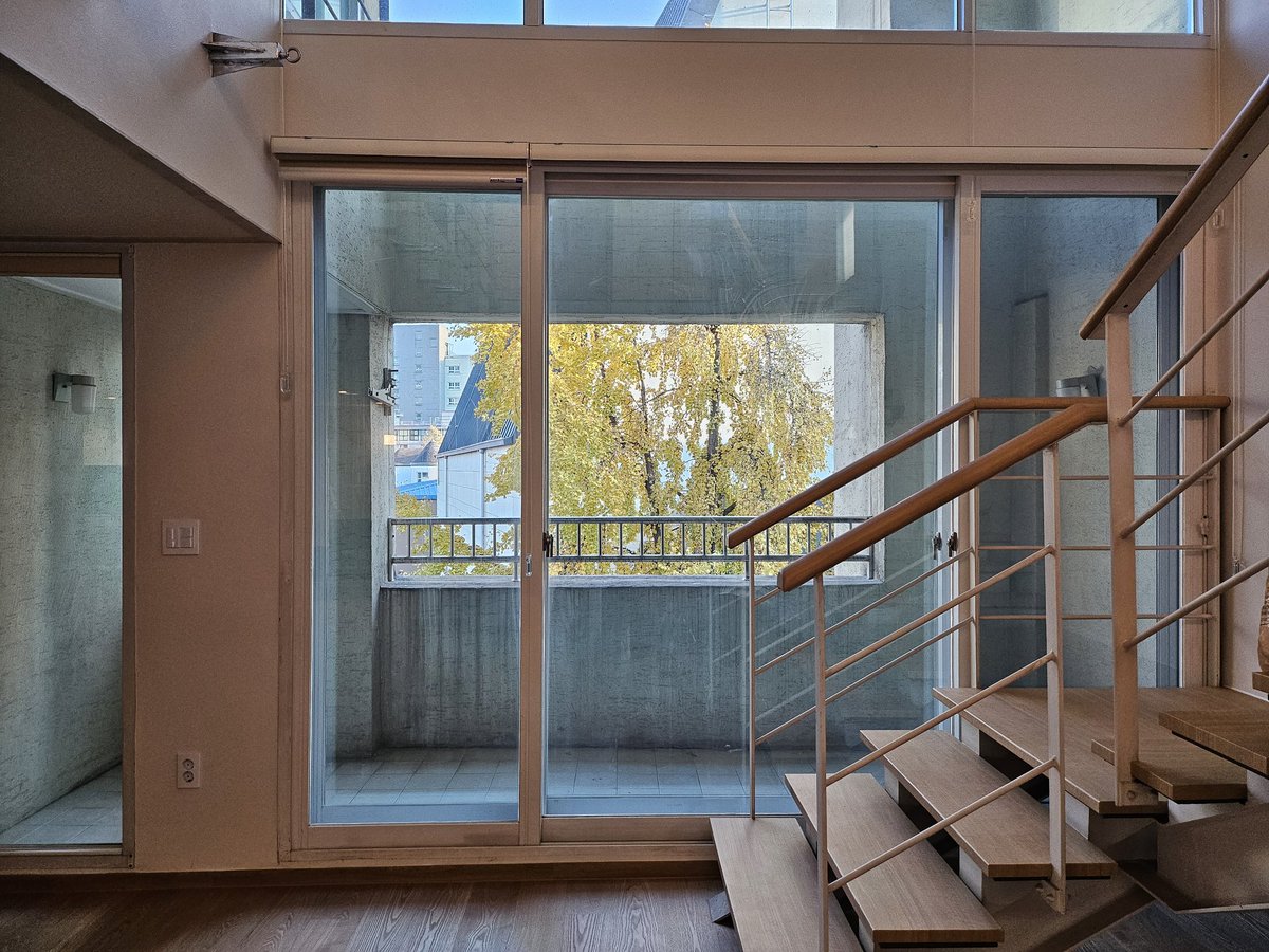 내년에는 거실쪽에 있는 은행나무를 배경으로 제대로 활용할 계획