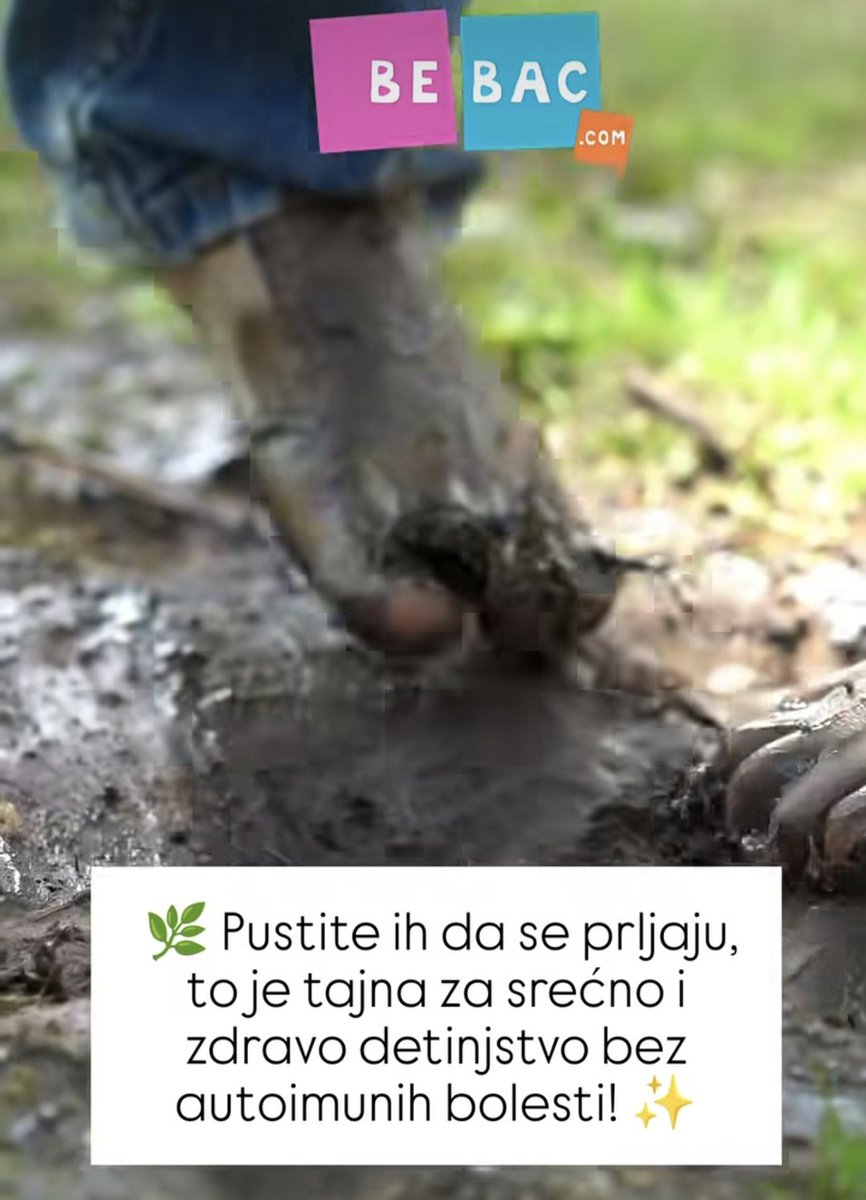 anci68pavlovic's tweet image. 