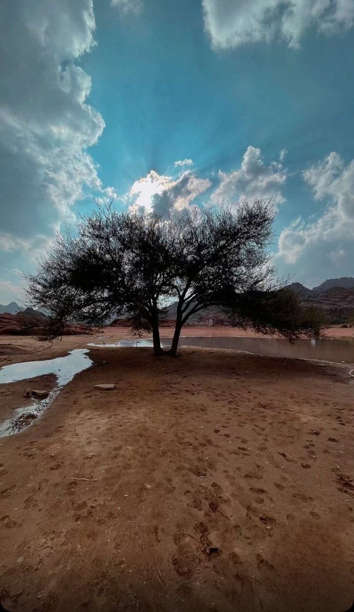 RaedAlghslan's tweet image. سلامٌ على الطيّبين 
الذين لا تجدهم إلّا في مواطِن الخير 
الذين يحملون في أعماقهم قِيَمًا عزيزة وشِيَمًا كريمة 
الكبيرون بأفعالهم وأقوالهم ومواقفهم 
المُترفّعون عن الصغائر نُبلاً
 الصامتون عن اللّغو ترفُّعًا
 المؤمنون بأنّ الحياة رحلة لا يبقى منها إلا حُسن الأثر .
#صباح_الخيرᅠ