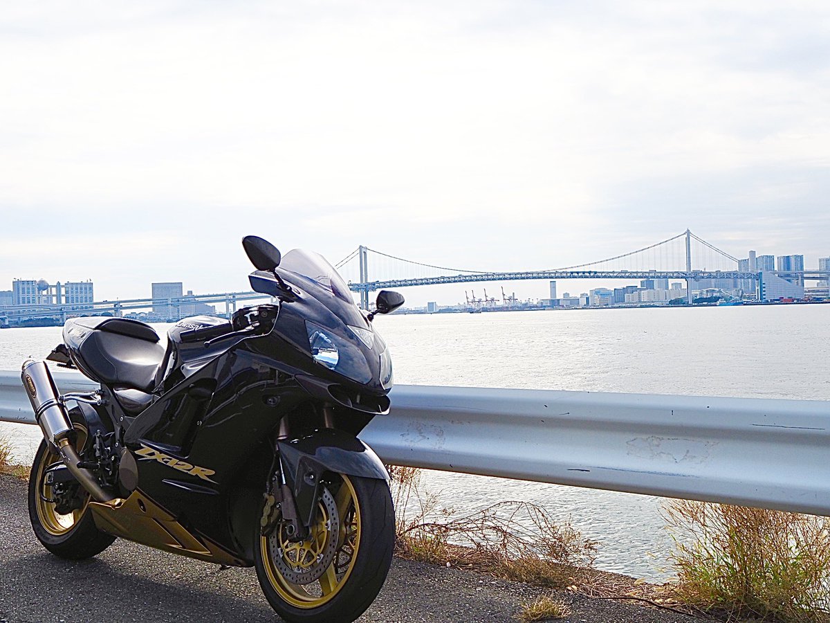 このご時世にzx12r買ってる時点で変な人って察してほしい。