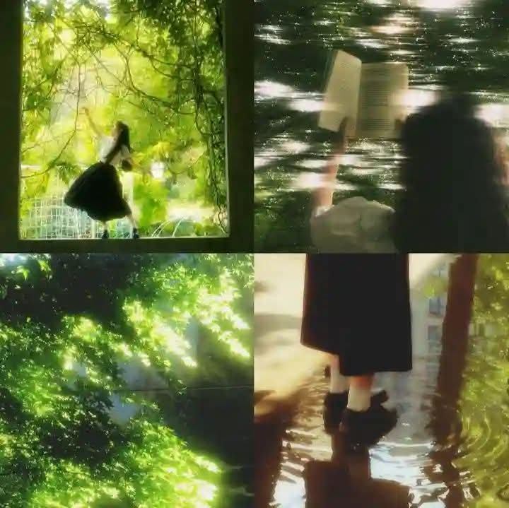 Nature's spellbinding beauty☘️
Good afternoon 🌞