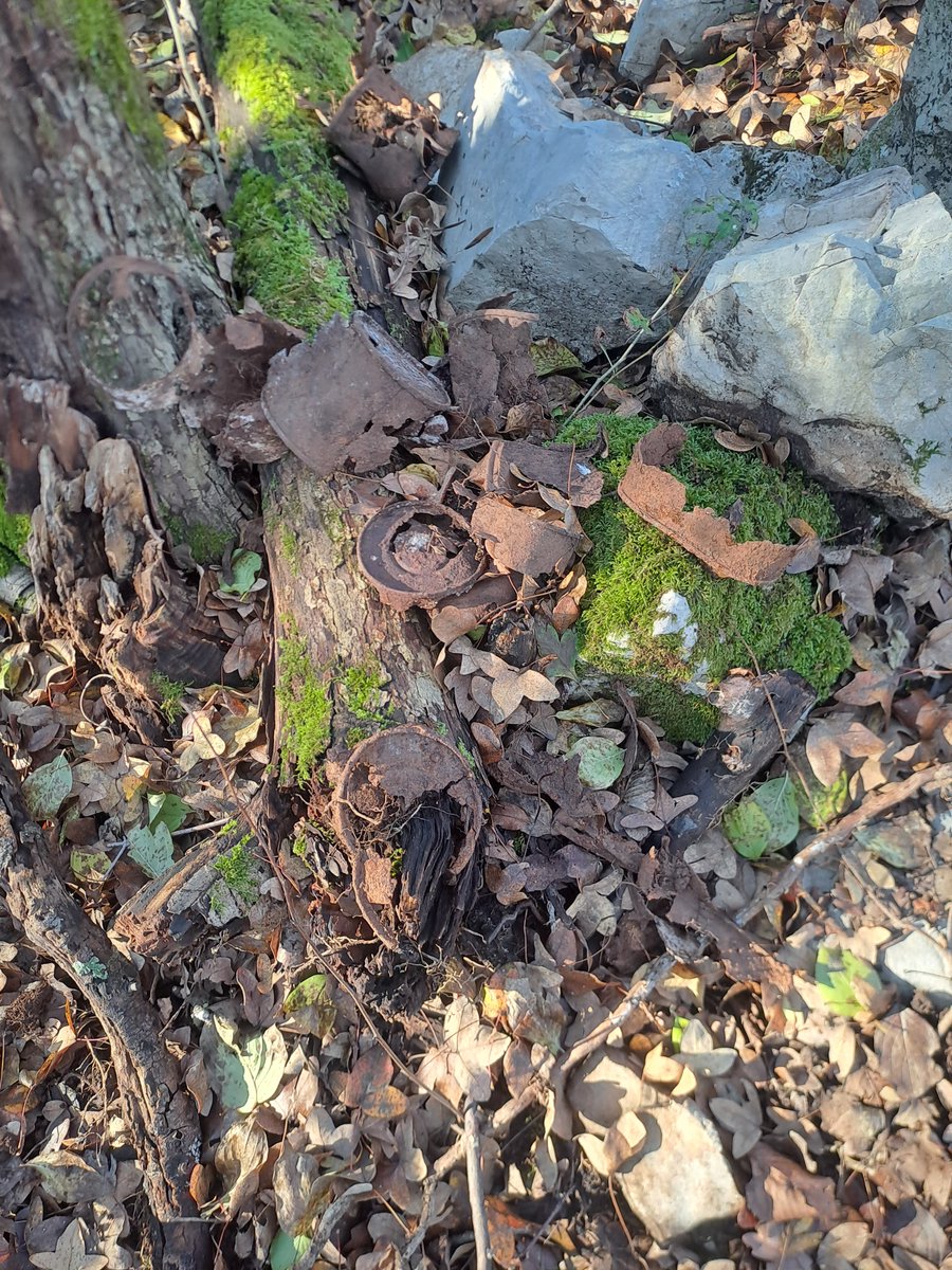bertoli1966's tweet image. A walk in Iamiano near Doberdo' del Lago. WW1 traces everywhere.