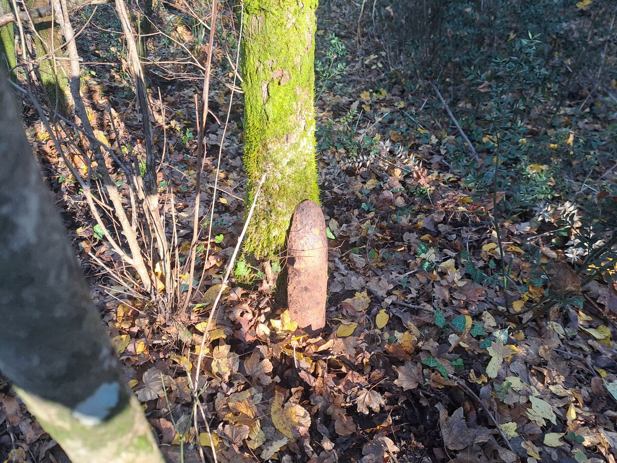 bertoli1966's tweet image. A walk in Iamiano near Doberdo' del Lago. WW1 traces everywhere.