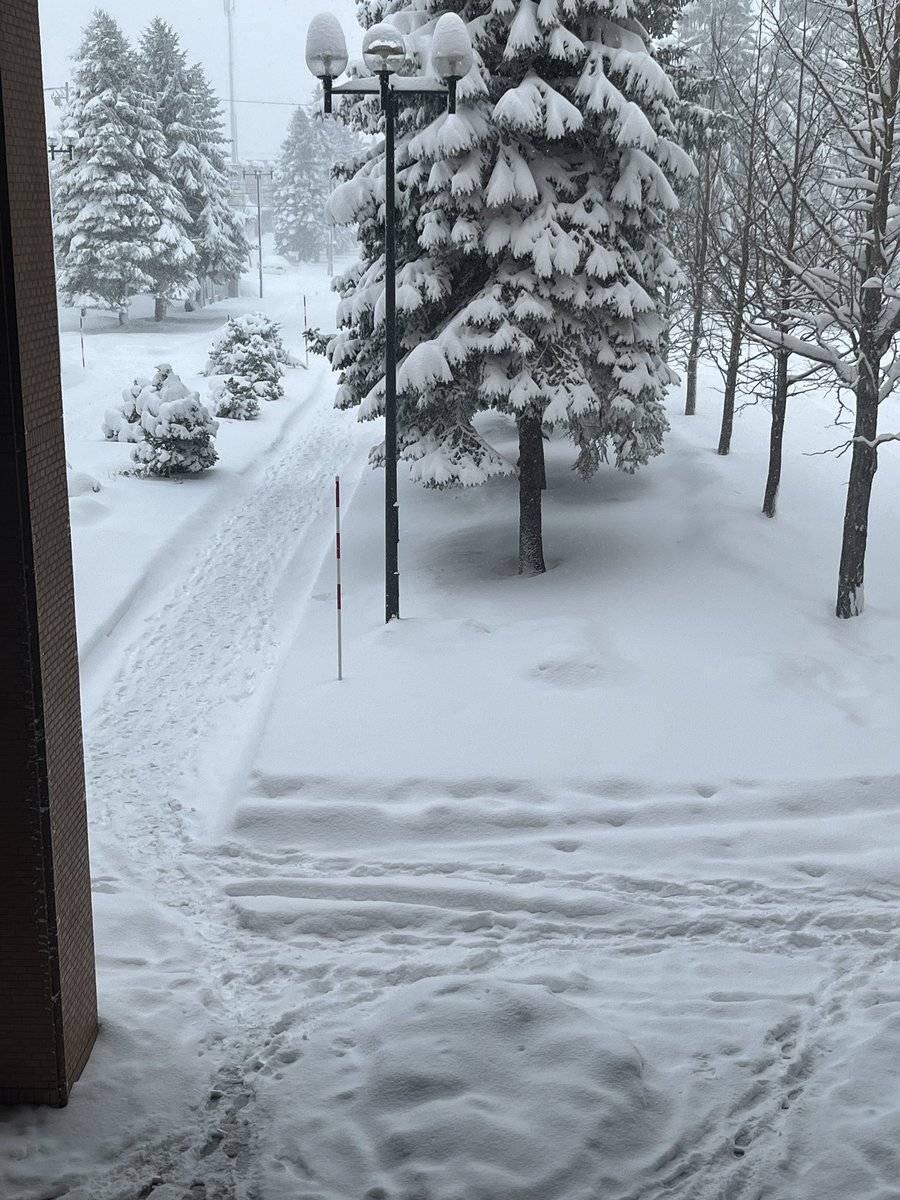 seiyawanco's tweet photo. なんじゃこりゃ！In Hokkaido⛄️ https://t.co/HsrWwt2GeE