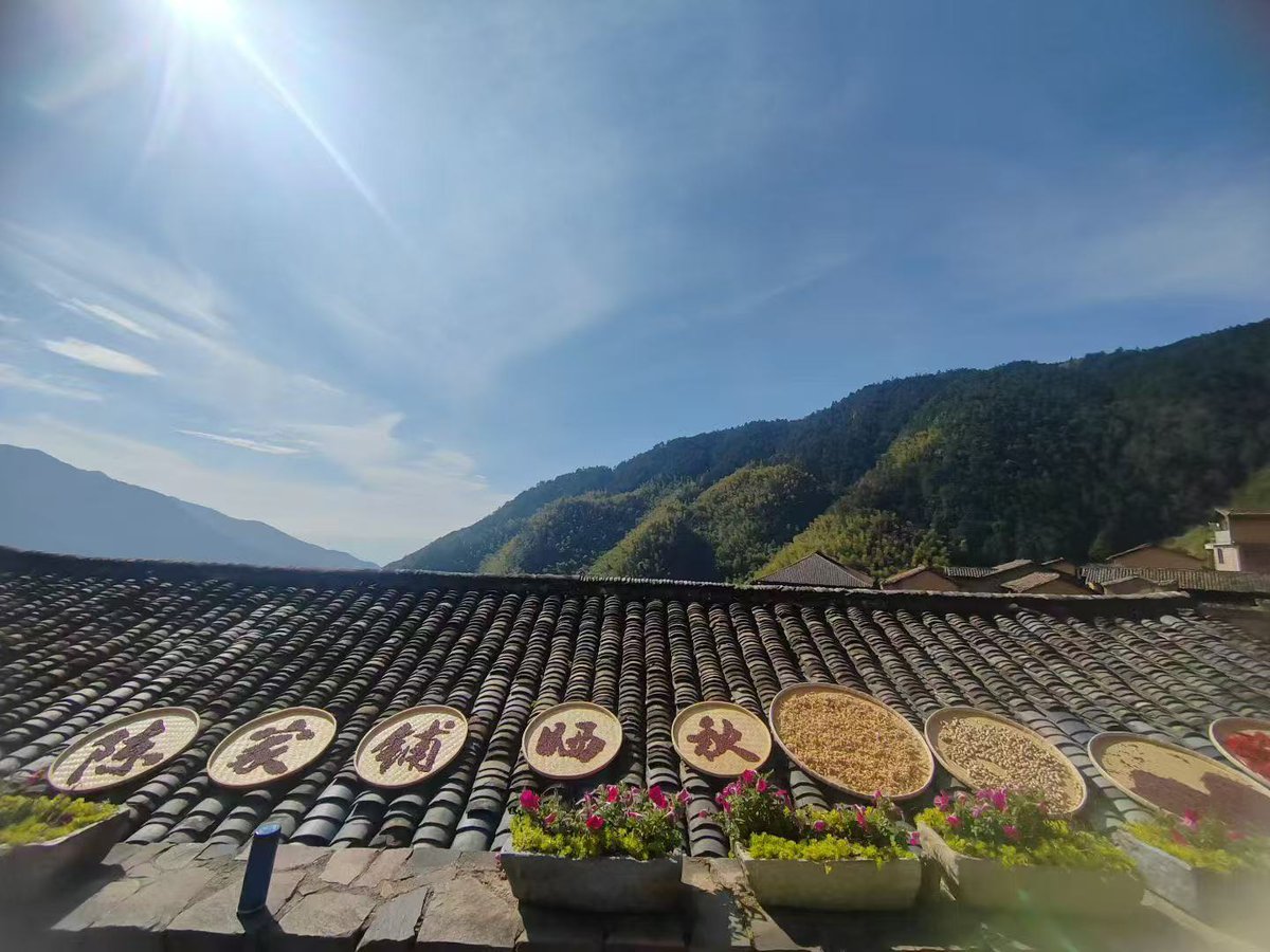 Littleone5232's tweet image. 晒秋