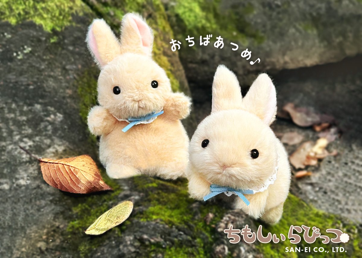 三英貿易株式会社 (@saneiboeki) / Posts / X