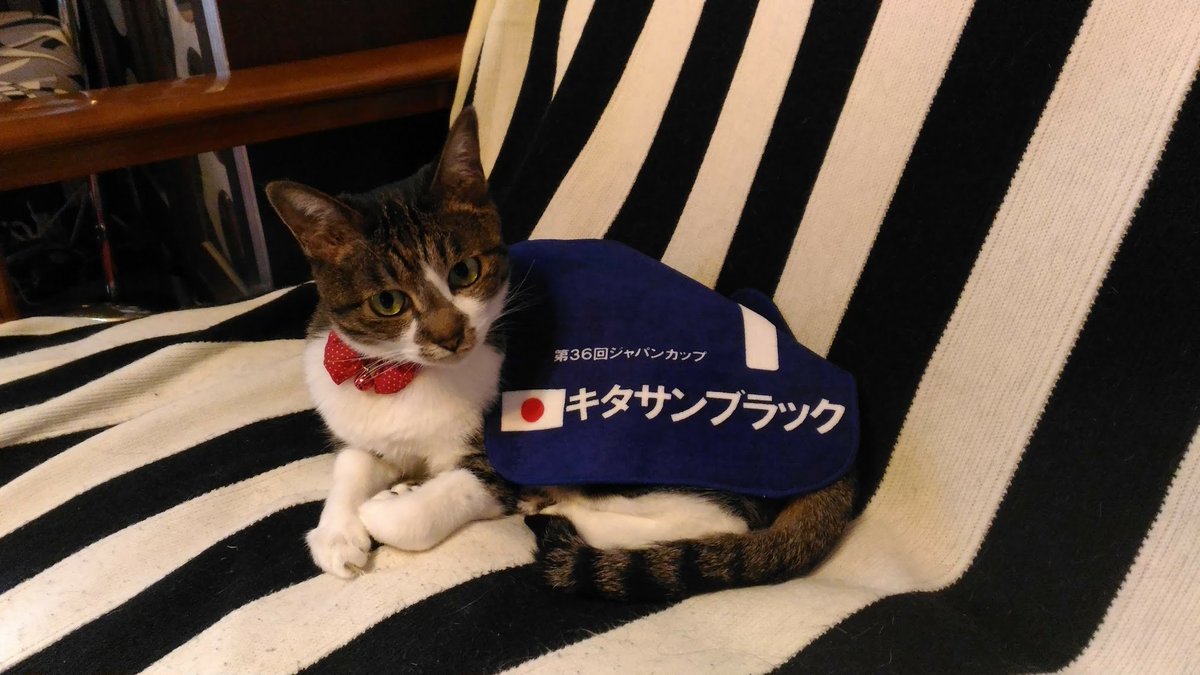 いきさん (@ikky3) / Posts / X