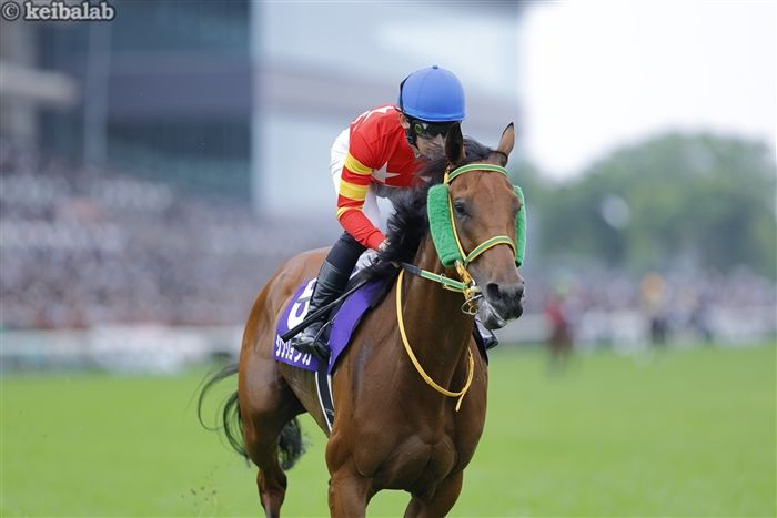 競馬ラボ (@keibalab) / Posts / X