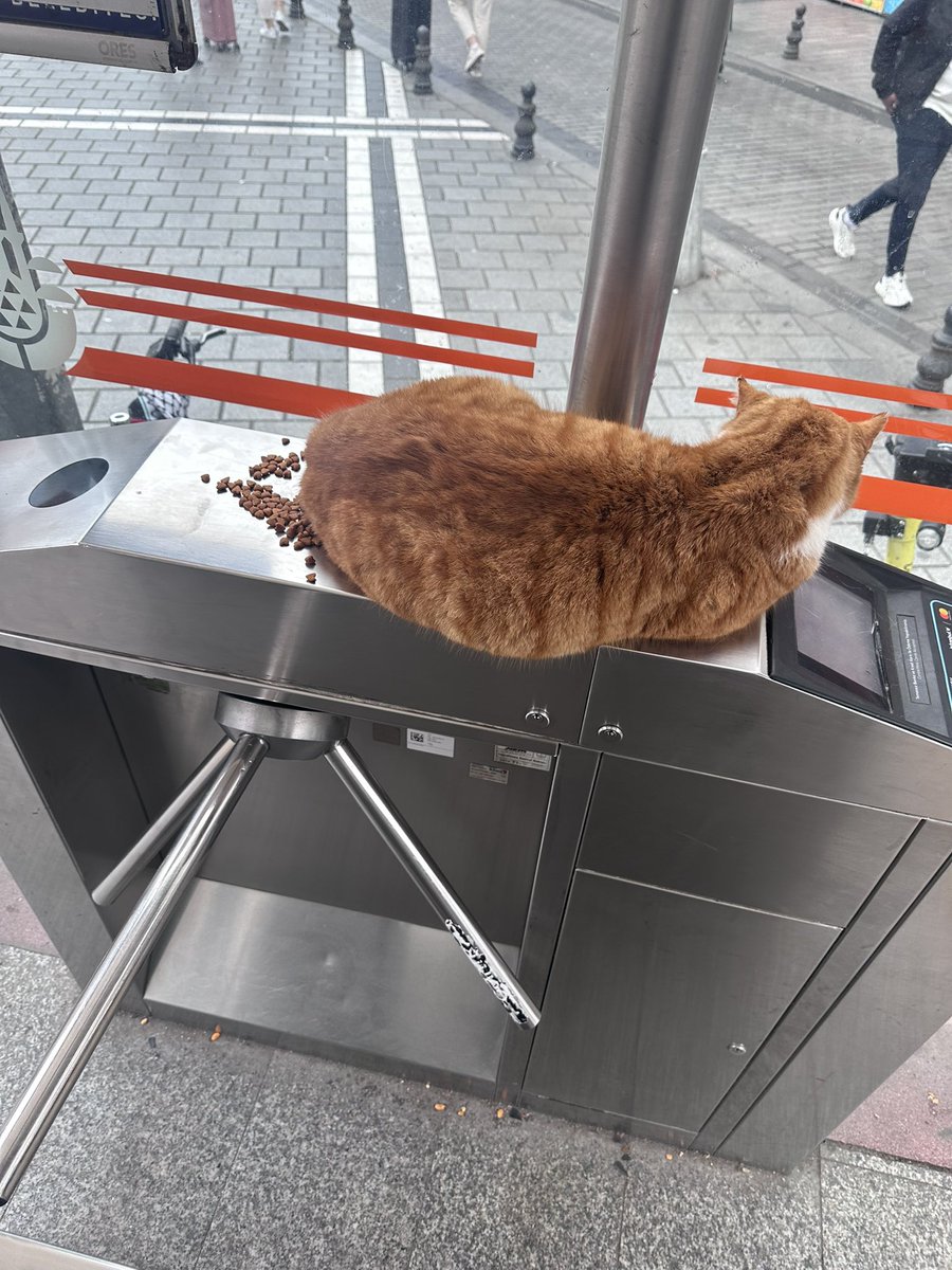 Akbil cihazının üstüne kedi yemi dökmüşler, bakın bu hayvan sevmek falan değil, bunlar ruh hastası, bunların dağdaki teröristlerden zerre farkı yok.