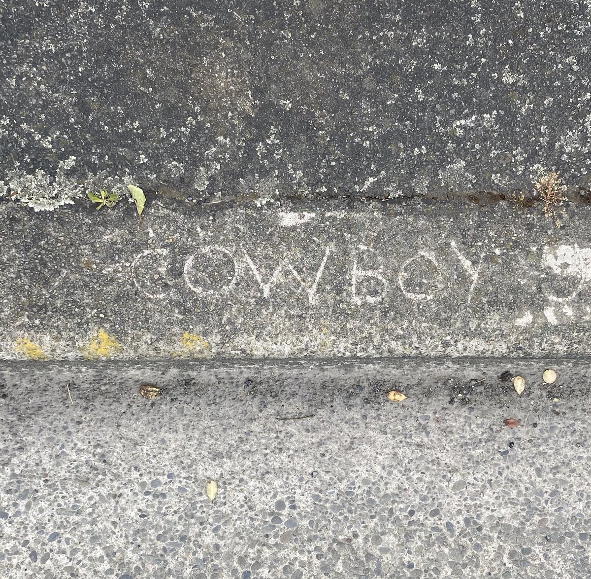 cowboy carved outside my house they know i got arthur morgan inside