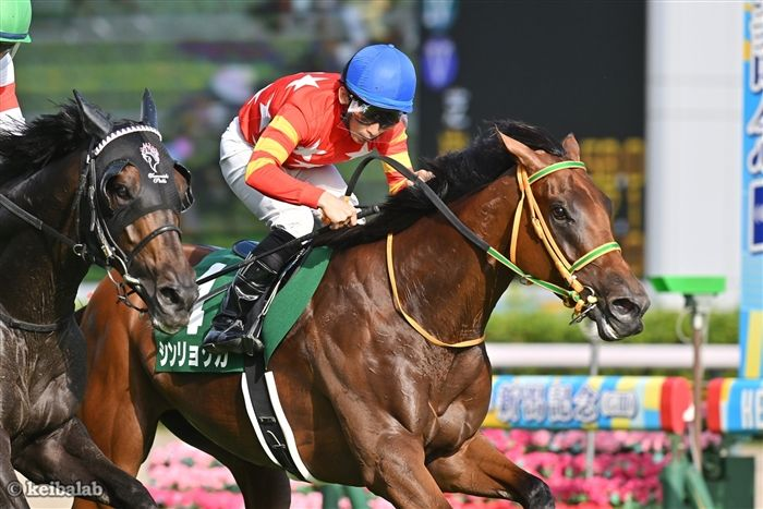 競馬ラボ (@keibalab) / Posts / X