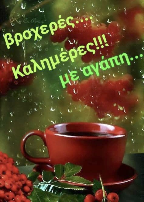 <a href="/An__70072024/">A n . . . . A n j o</a>