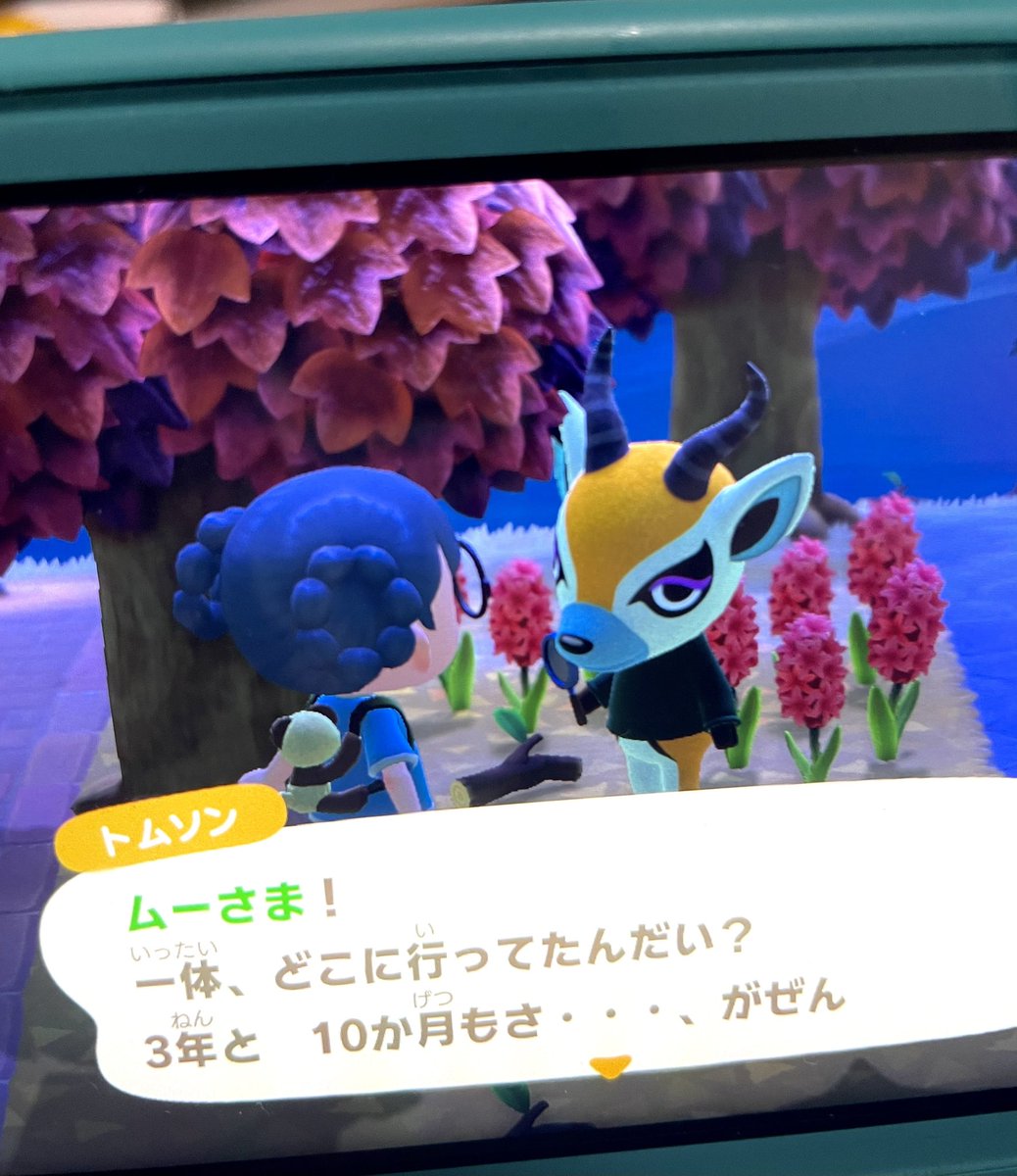 H_panda_21's tweet photo. 親友が急にあつ森を買ってやり始めたので自分も久々に開いたら、3年と10か月前から好みが変わってなかった。

🐼️️🩵

 #あつ森 https://t.co/3pSaRqFIEg