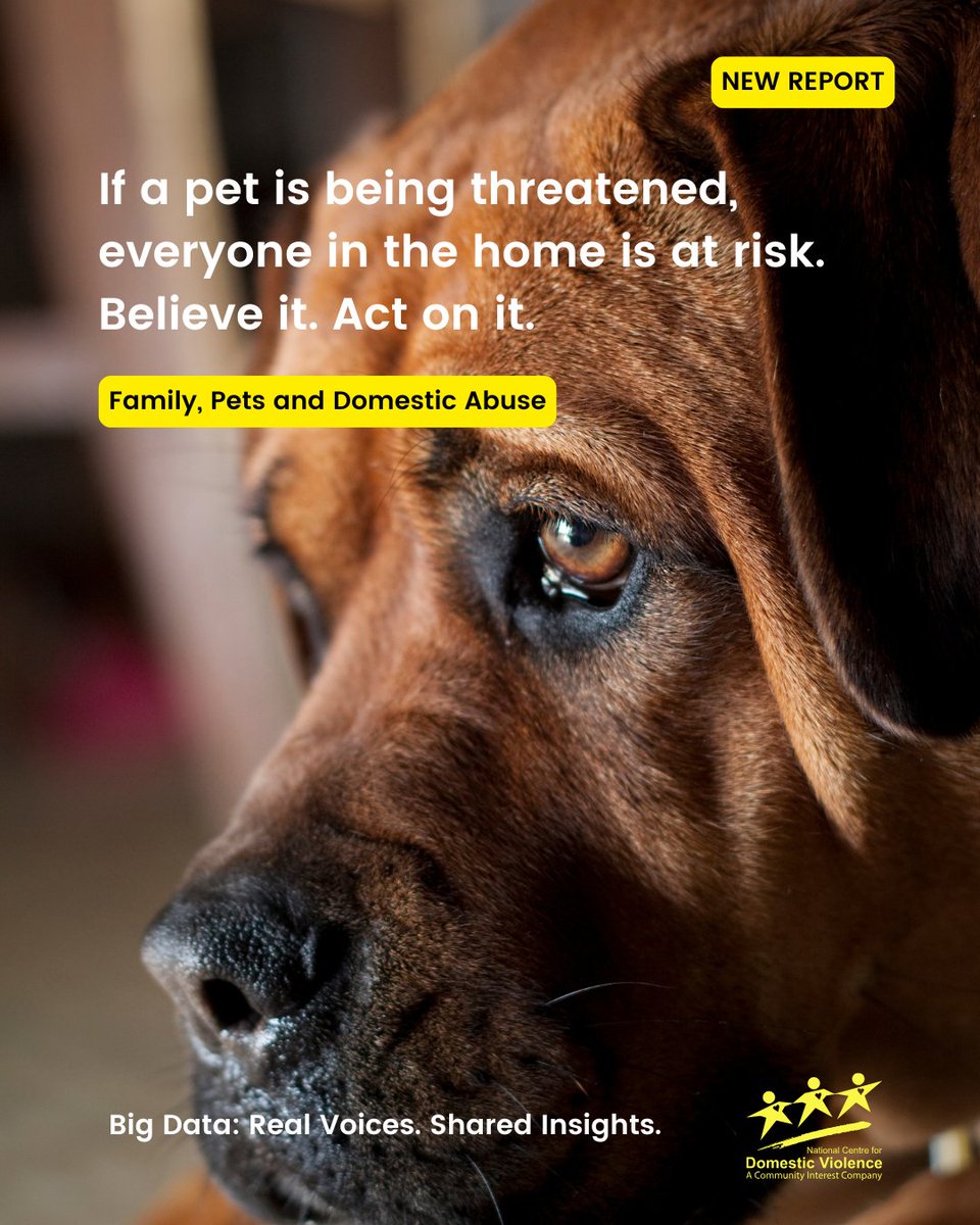 NCDV_Official's tweet image. Pet-related abuse is a safeguarding red flag linked to wider risk for adults and children – and a barrier to safety: ncdv.org.uk/why-animals-ma….
#domesticabuse #safeguarding #domesticabuseawareness
