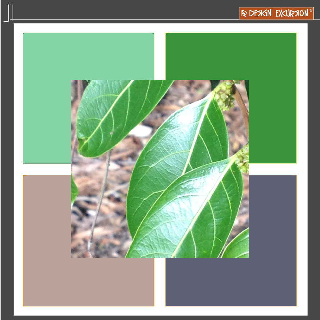 designexcursion's tweet image. add some purple taupe

#moodboard #inspo #adesignexcursion