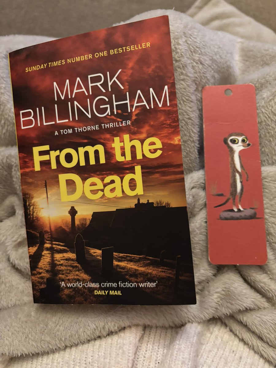 janice_whitfiel's tweet image. I don’t want to go out 🥶 I want to stay in and read my book ❤️📚@MarkBillingham #booklover #BookTwitter